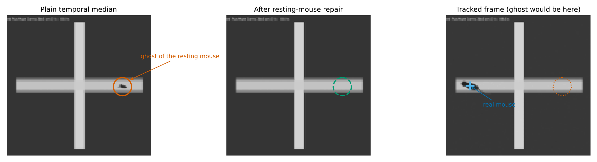 Ghost repair