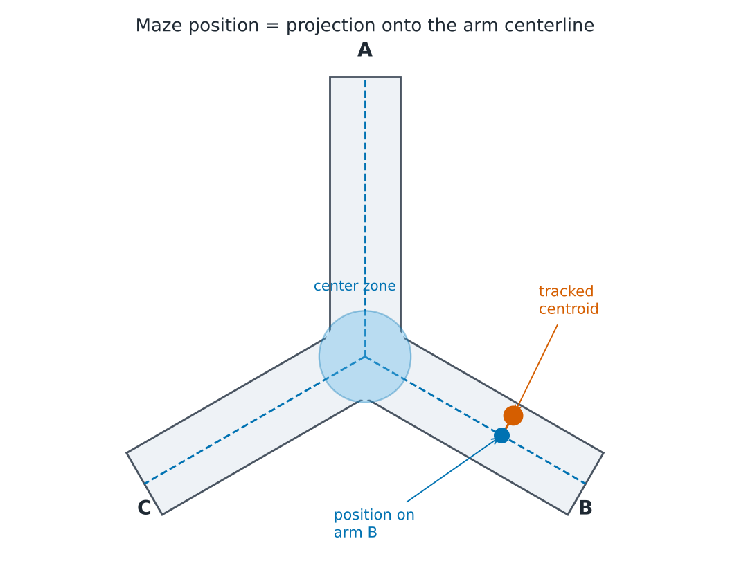 Maze projection
