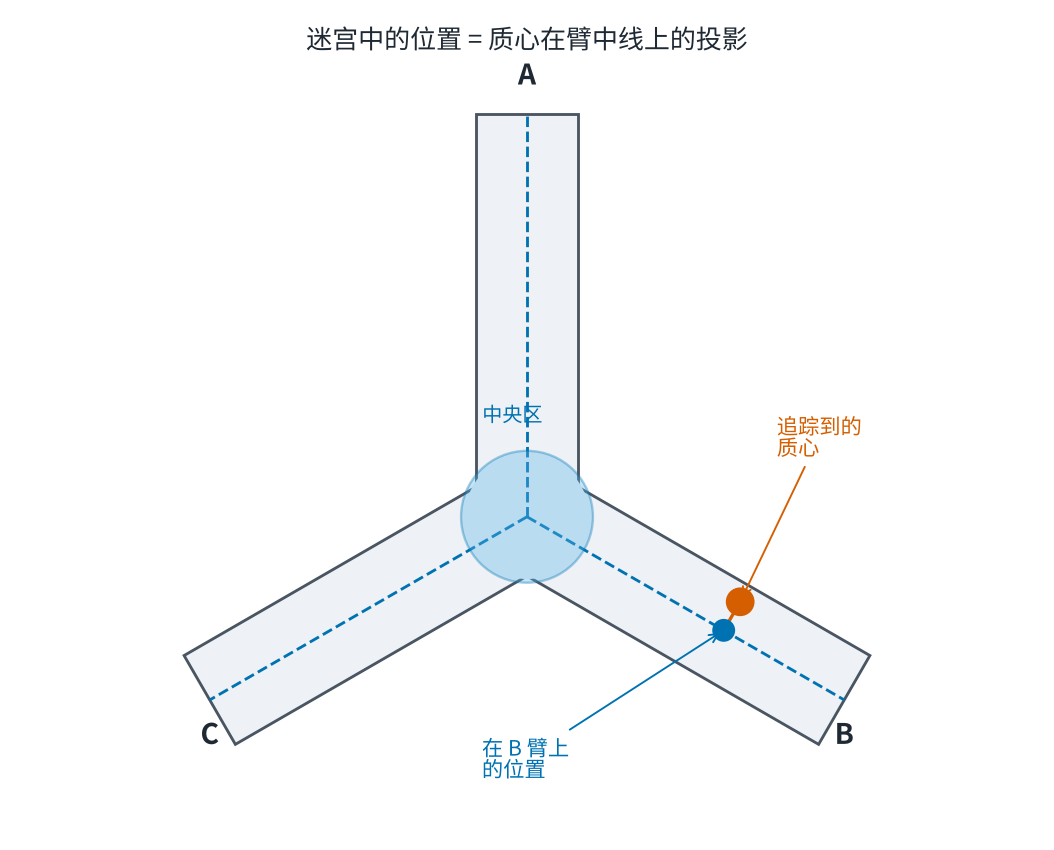 迷宫投影